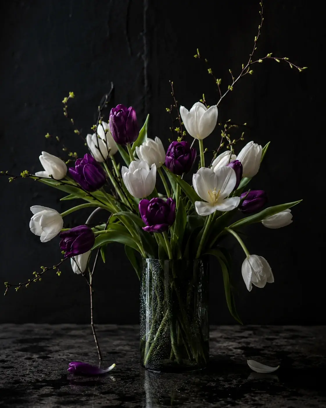 Bratislavské ráno, prémiové tulipány, breza, sezónna zeleň